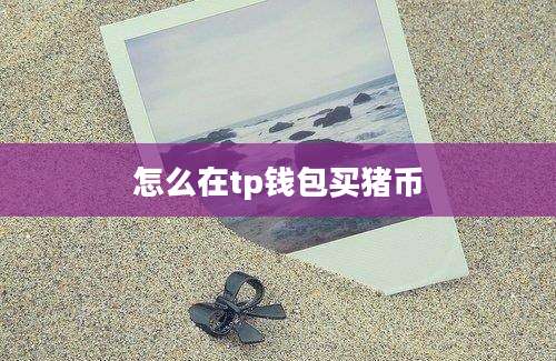 怎么在tp钱包买猪币