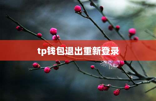 tp钱包退出重新登录