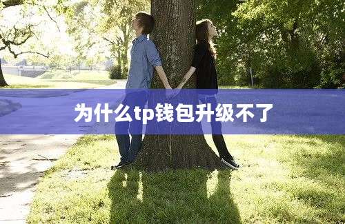 为什么tp钱包升级不了