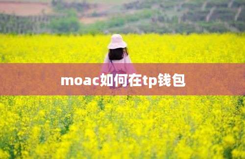 moac如何在tp钱包
