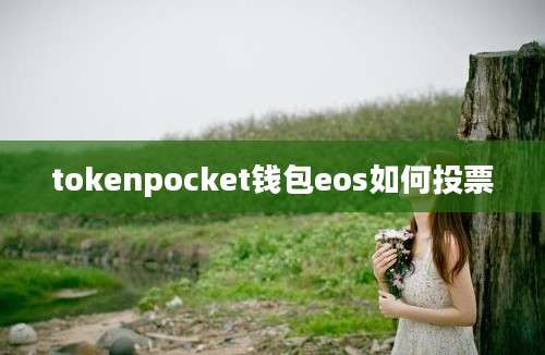 tokenpocket钱包eos如何投票