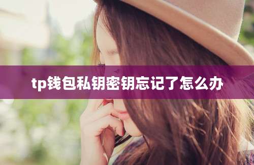 tp钱包私钥密钥忘记了怎么办