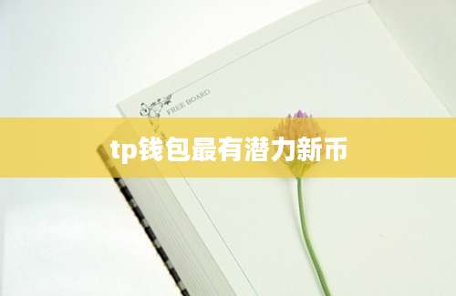 tp钱包最有潜力新币