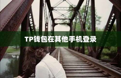 TP钱包在其他手机登录
