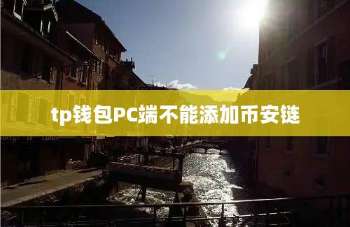 tp钱包PC端不能添加币安链