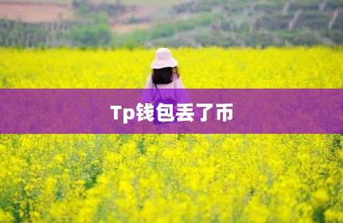Tp钱包丢了币