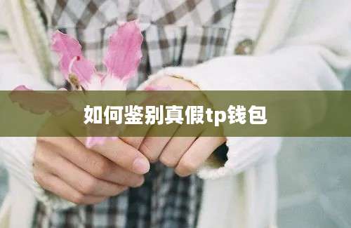 如何鉴别真假tp钱包