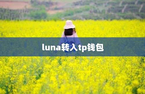 luna转入tp钱包