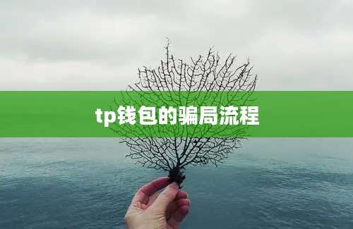 tp钱包的骗局流程