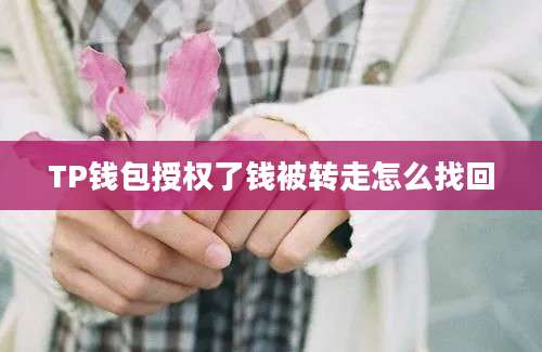 TP钱包授权了钱被转走怎么找回