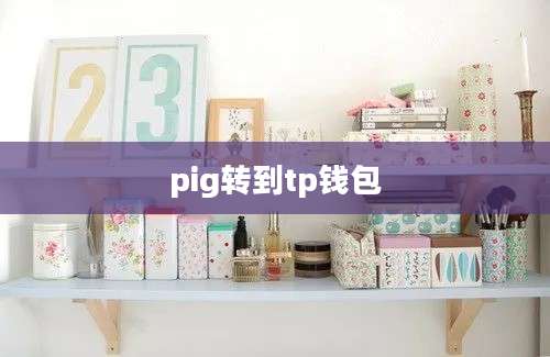 pig转到tp钱包