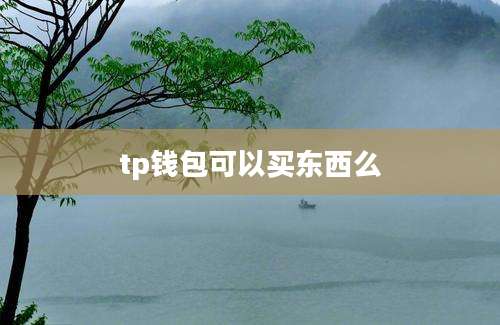 tp钱包可以买东西么