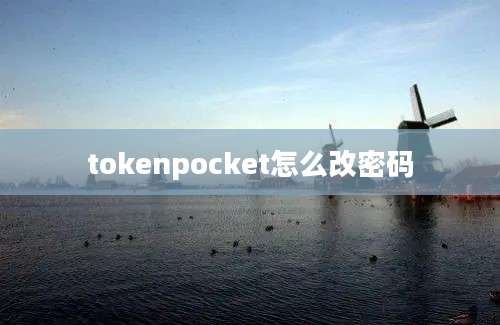 tokenpocket怎么改密码