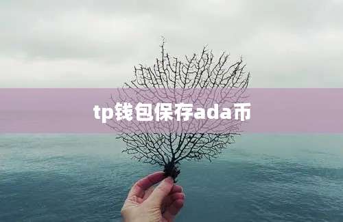 tp钱包保存ada币