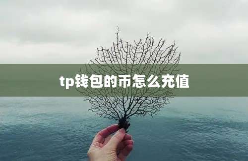 tp钱包的币怎么充值