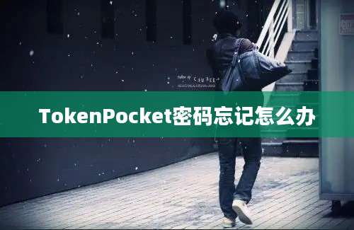 TokenPocket密码忘记怎么办