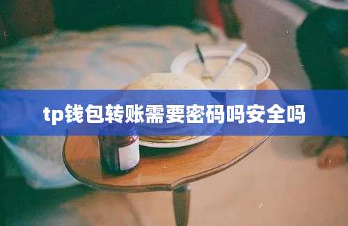 tp钱包转账需要密码吗安全吗