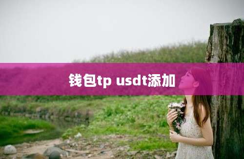 钱包tp usdt添加