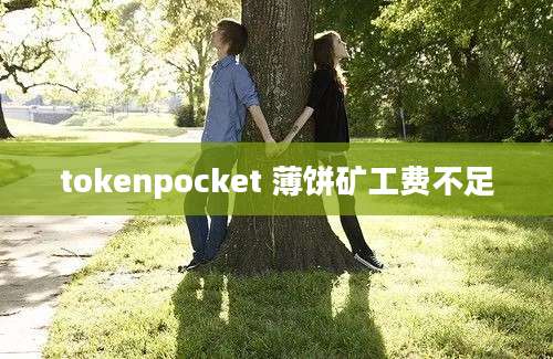tokenpocket 薄饼矿工费不足