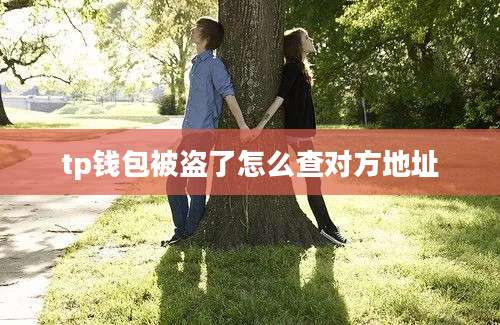 tp钱包被盗了怎么查对方地址