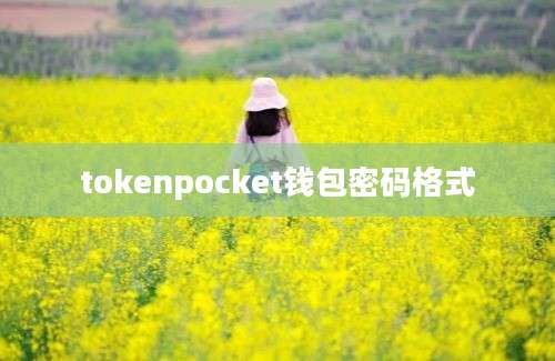 tokenpocket钱包密码格式