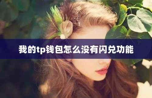 我的tp钱包怎么没有闪兑功能