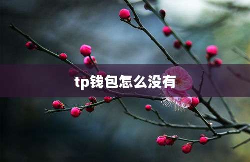 tp钱包怎么没有