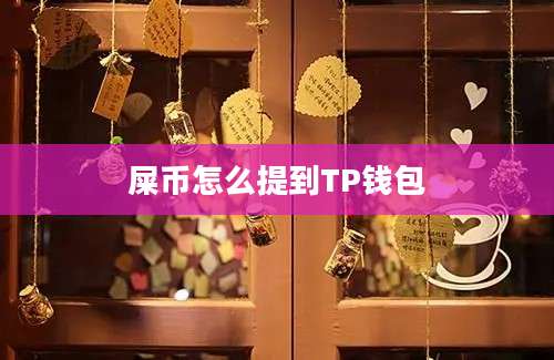 屎币怎么提到TP钱包