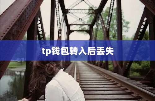 tp钱包转入后丢失