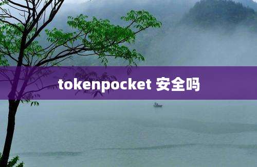 tokenpocket 安全吗
