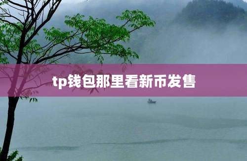 tp钱包那里看新币发售