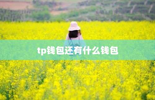 tp钱包还有什么钱包