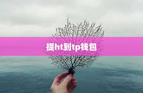 提ht到tp钱包