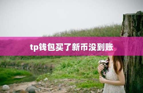 tp钱包买了新币没到账