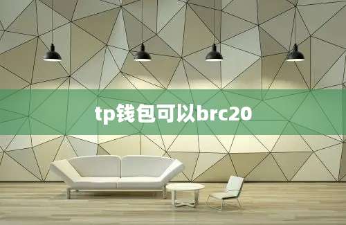tp钱包可以brc20