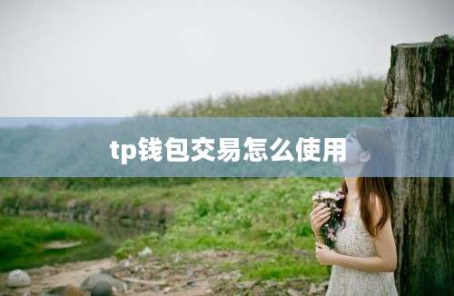 tp钱包交易怎么使用