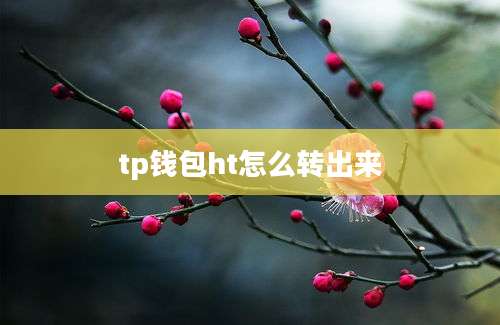tp钱包ht怎么转出来