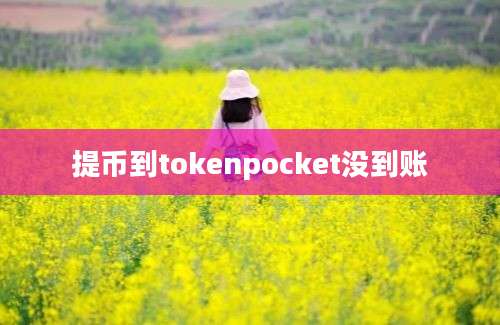 提币到tokenpocket没到账