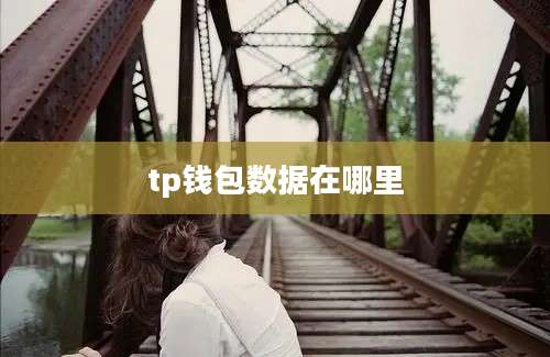 tp钱包数据在哪里