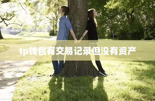 tp钱包有交易记录但没有资产