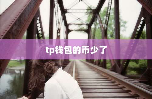 tp钱包的币少了