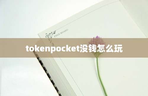 tokenpocket没钱怎么玩