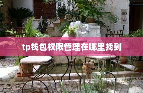 tp钱包权限管理在哪里找到