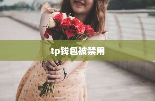 tp钱包被禁用