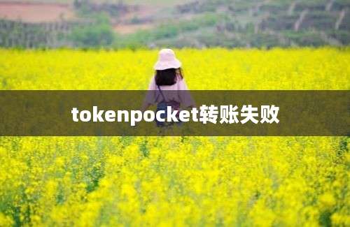 tokenpocket转账失败
