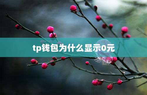 tp钱包为什么显示0元