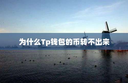 为什么Tp钱包的币转不出来