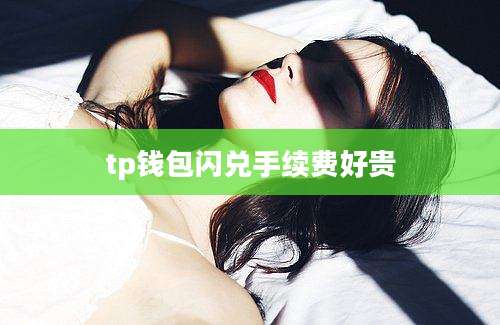 tp钱包闪兑手续费好贵