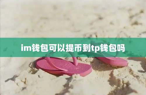 im钱包可以提币到tp钱包吗