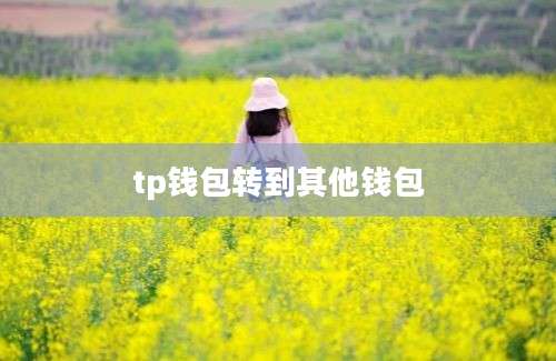 tp钱包转到其他钱包